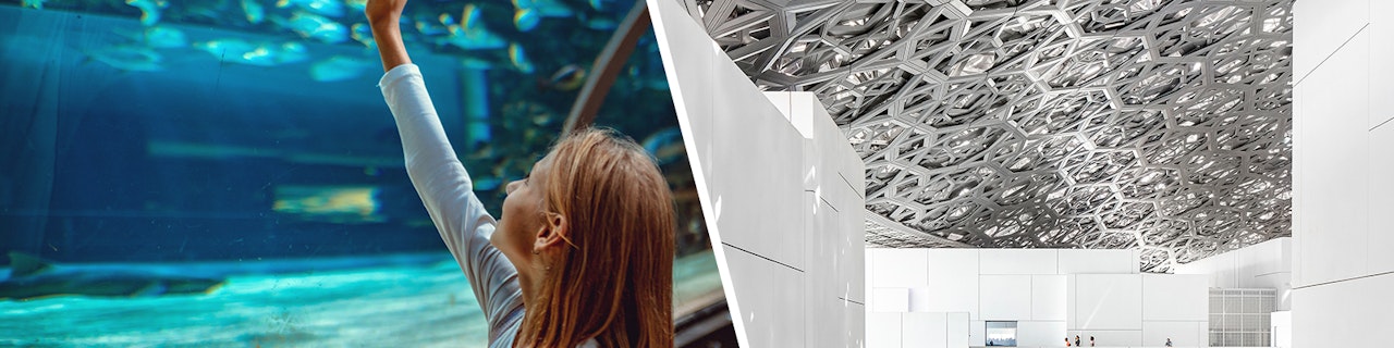 In un'unica combo: Acquario Nazionale di Abu Dhabi + Biglietti Salta la Fila per il Museo del Louvre