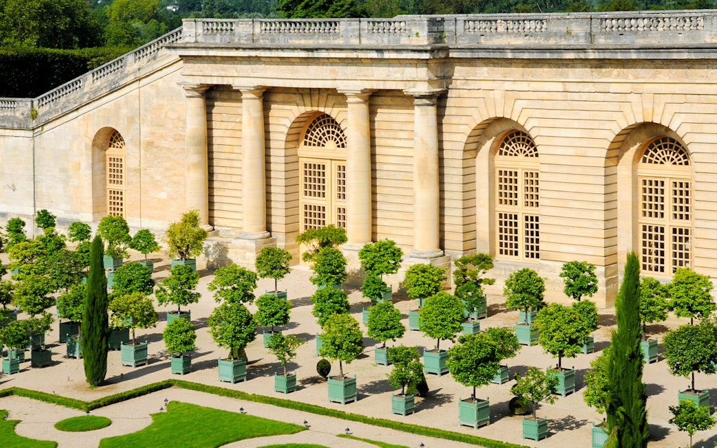 Orangery garden with potted trees at Versailles Palace, France.