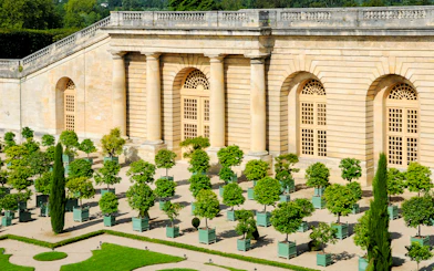 Orangery garden with potted trees at Versailles Palace, France.