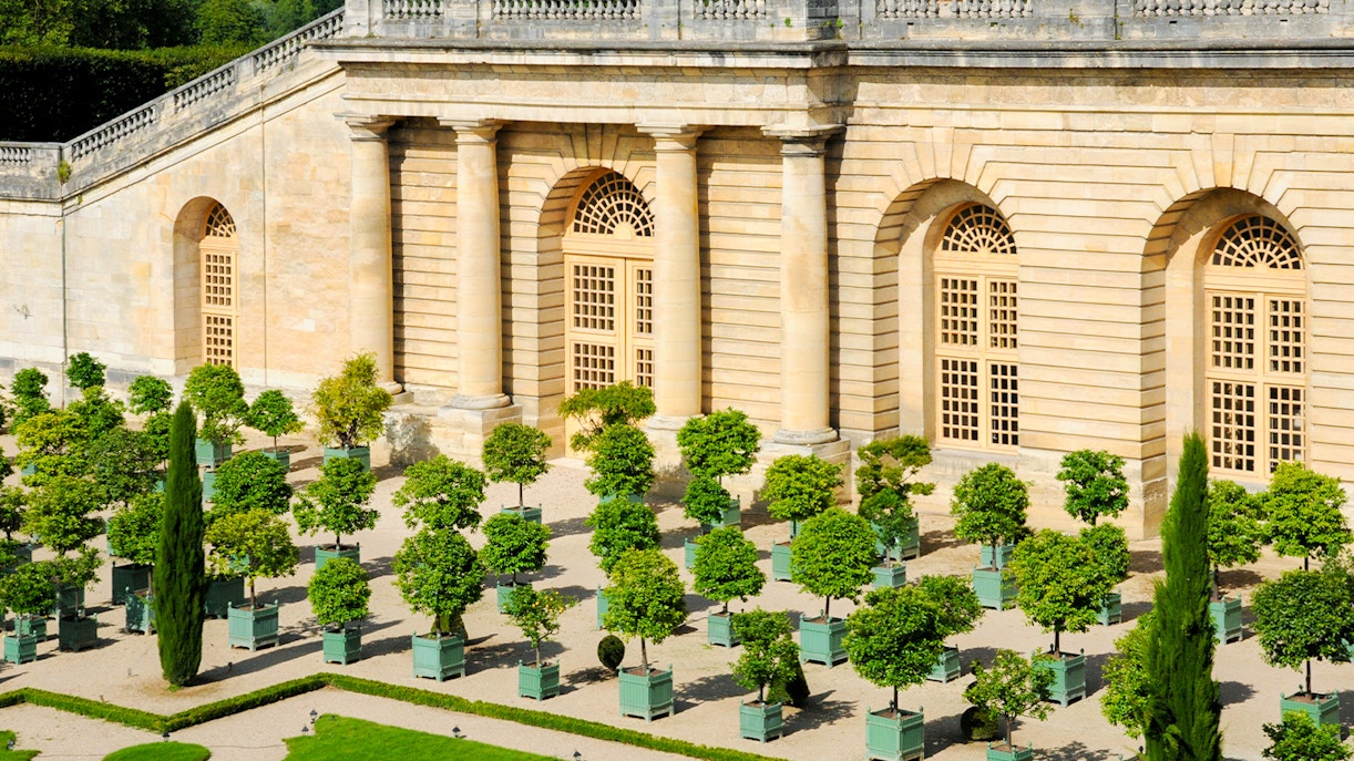 Orangery garden with potted trees at Versailles Palace, France.