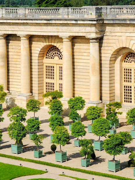 Orangery garden with potted trees at Versailles Palace, France.