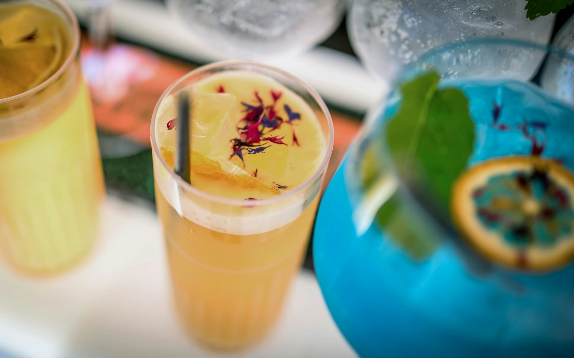 Signature cocktail with citrus and floral garnish on Dubrovnik sunset cruise.