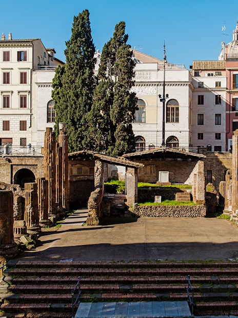 Largo di Torre Argentina ruins in Rome with ancient columns and surrounding buildings.