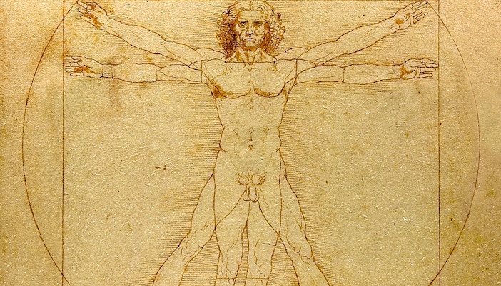 leonardo da vinci - The Vitruvian Man