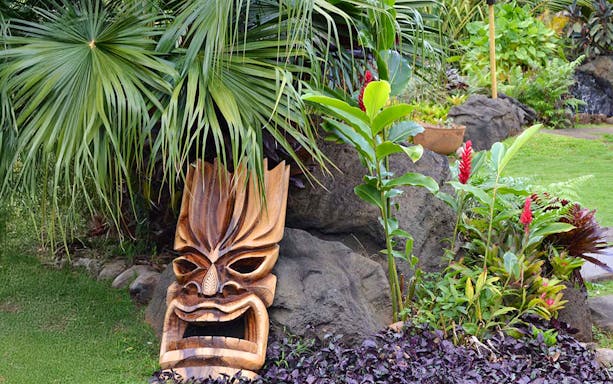 Luau Kalamaku
