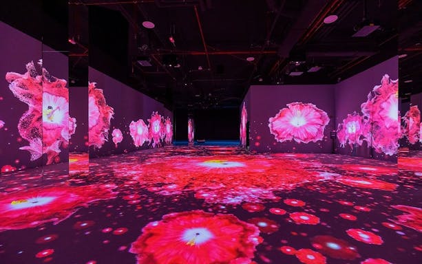 Immersive digital art installation with vibrant pink floral projections in Kuala Lumpur.