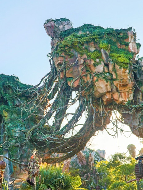 Floating mountains in Pandora, Disney’s Animal Kingdom, Orlando.