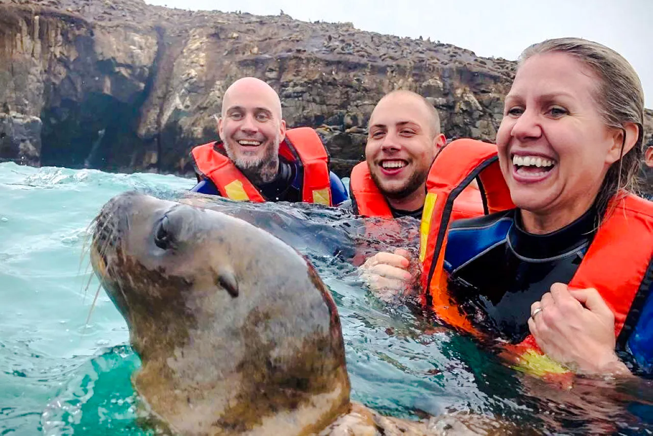 Swimming with sea lions near Palomino Islands, Lima, with tourists in life jackets.