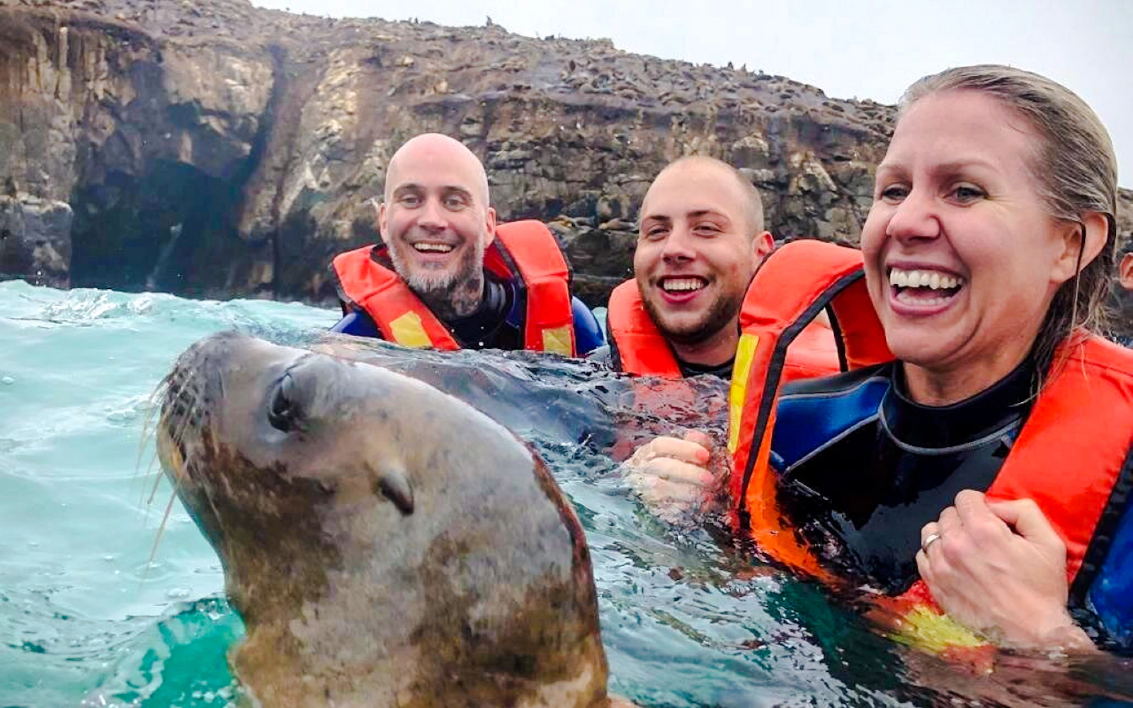 From Lima: Palomino Islands Yacht Cruise and Swim with Sea Lions