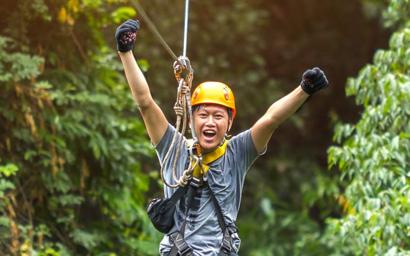 Person ziplining through lush forest in Rotorua, New Zealand.