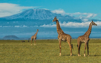 masai mara, chyulu hills, tsavo & diani beach multi-day safari and beach tour-1