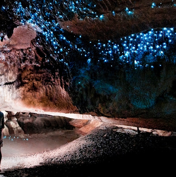 Explore nature’s own theme park at the Waitomo Caves