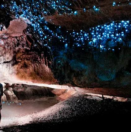 Explore nature’s own theme park at the Waitomo Caves
