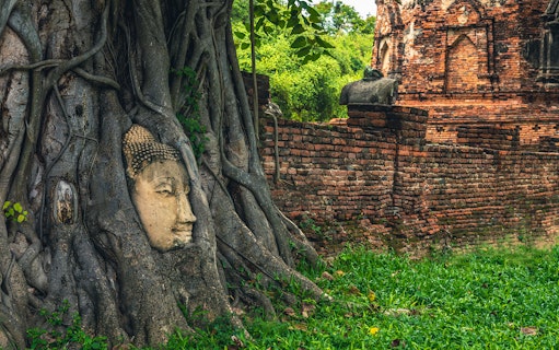 Buddha head entwined in tree roots at Ayutthaya Historical Park, Thailand.