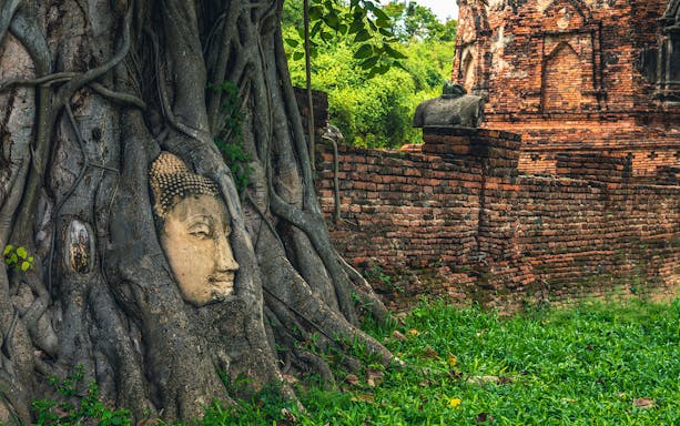 Buddha head entwined in tree roots at Ayutthaya Historical Park, Thailand.