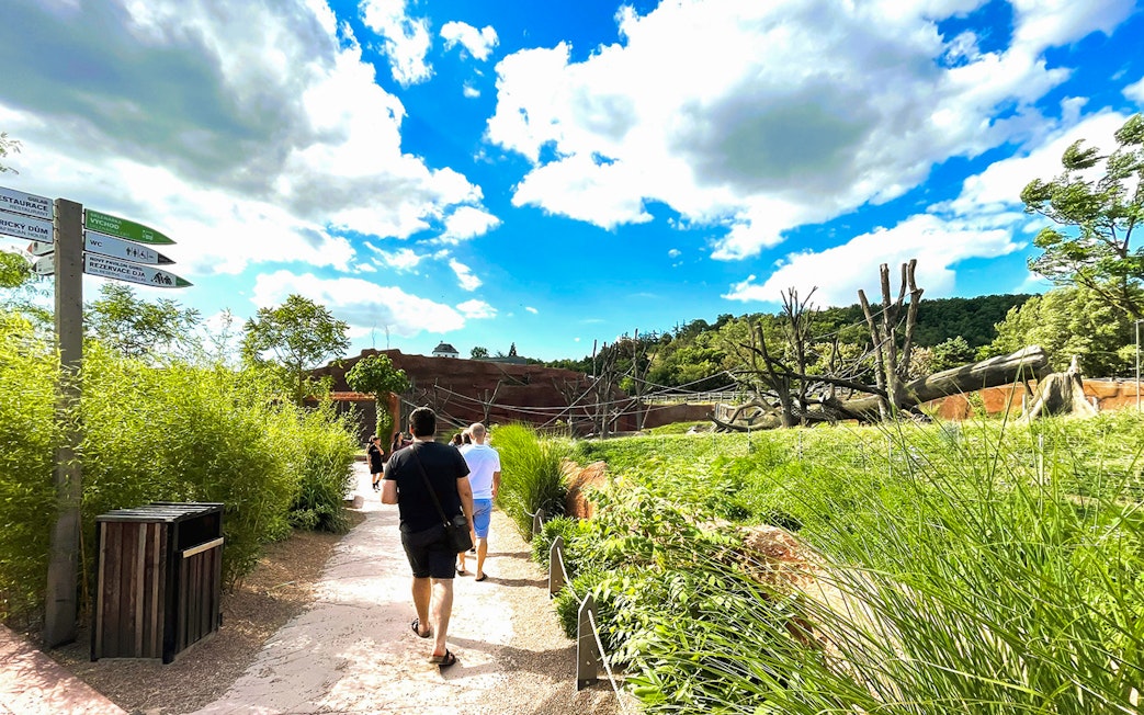 Visitors walking along a path surrounded by greenery at Prague Zoo.