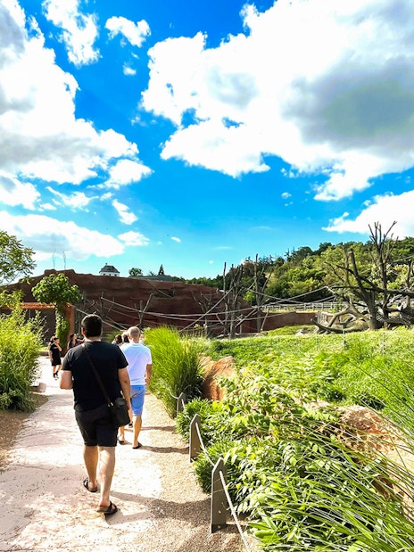 Visitors walking along a path surrounded by greenery at Prague Zoo.