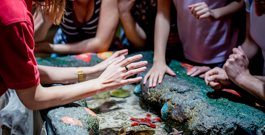 Children interacting with starfish and marine life at an aquarium touch pool.