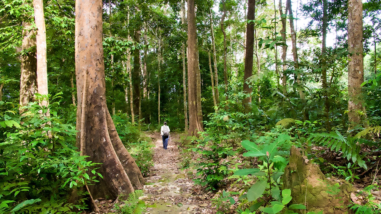 Langkawi SkyTrail