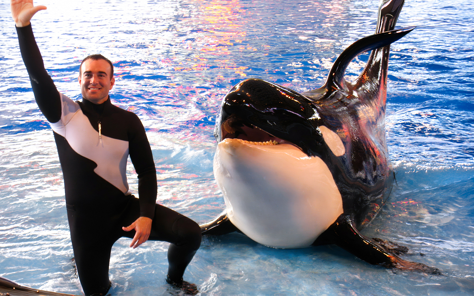 Trainer with orca at SeaWorld San Antonio, Texas.