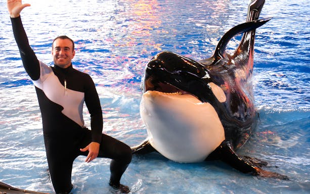 Trainer with orca at SeaWorld San Antonio, Texas.