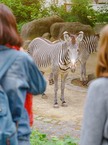 São Paulo Zoo Tickets
