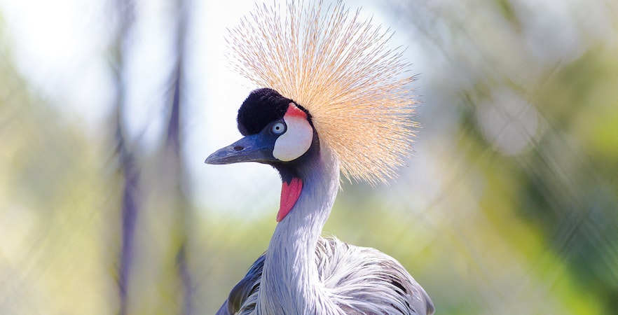 Ingressos para o Langkawi Wildlife Park