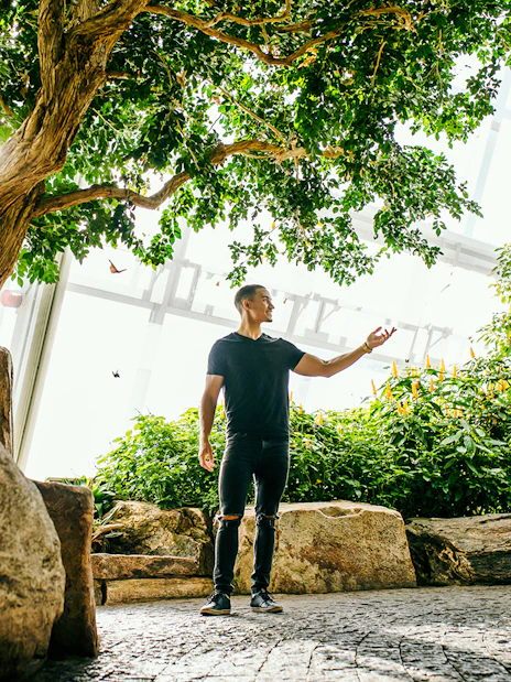 Man observing butterflies in Niagara Falls Butterfly Conservatory, Canada.