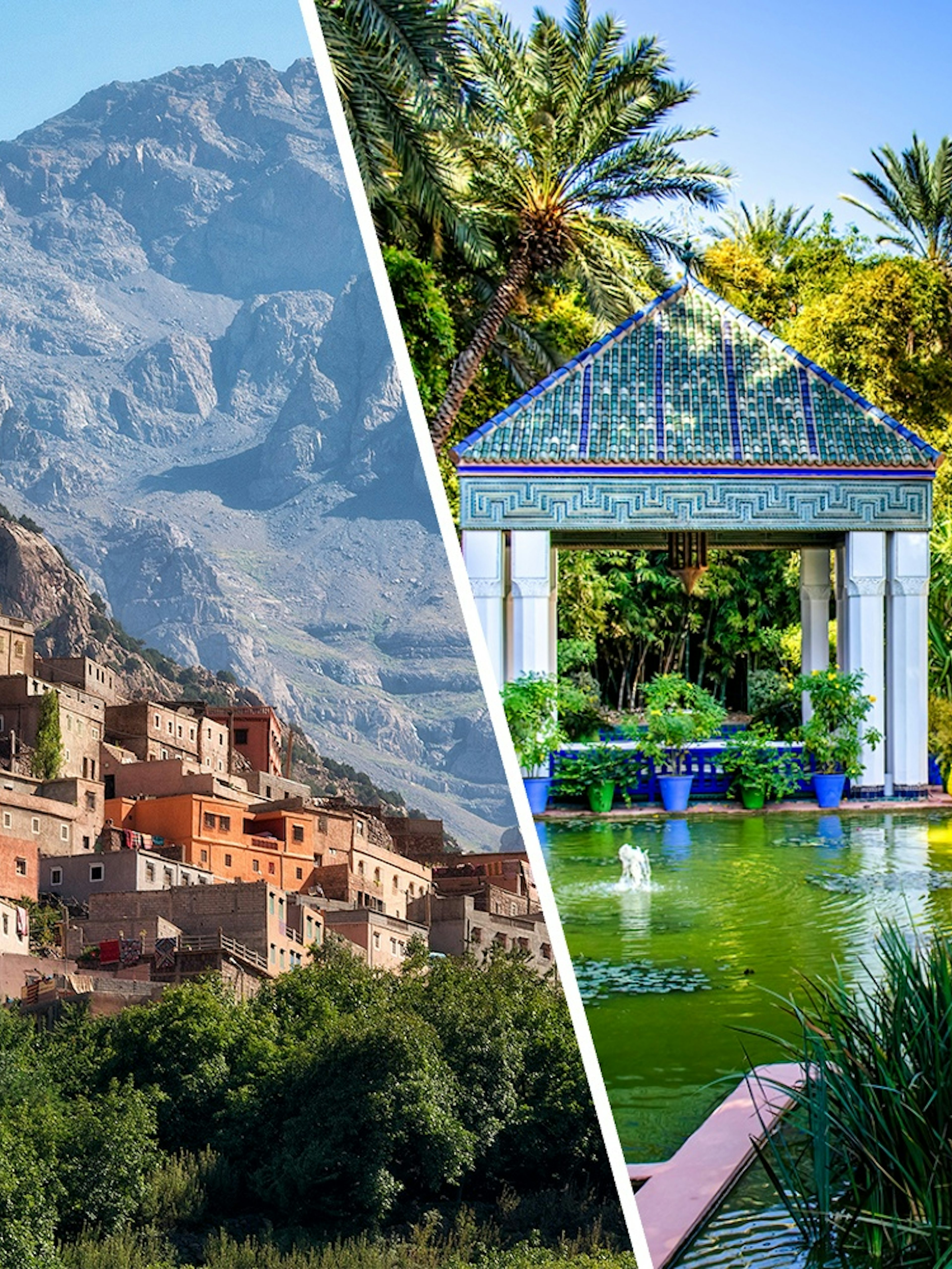 Jardin Majorelle garden with vibrant flora and blue pavilion in Marrakech, Morocco.