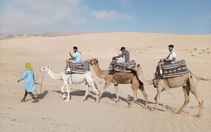 Camel ride in Agadir's Sahara Desert with tourists and guide.