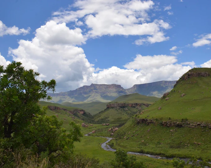 Drakensberg San Cave Art and Nelson Mandela Capture Site Guided Day Tour from Durban