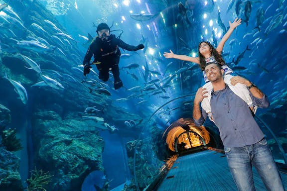 dubái: entradas al acuario y zoológico submarino-3