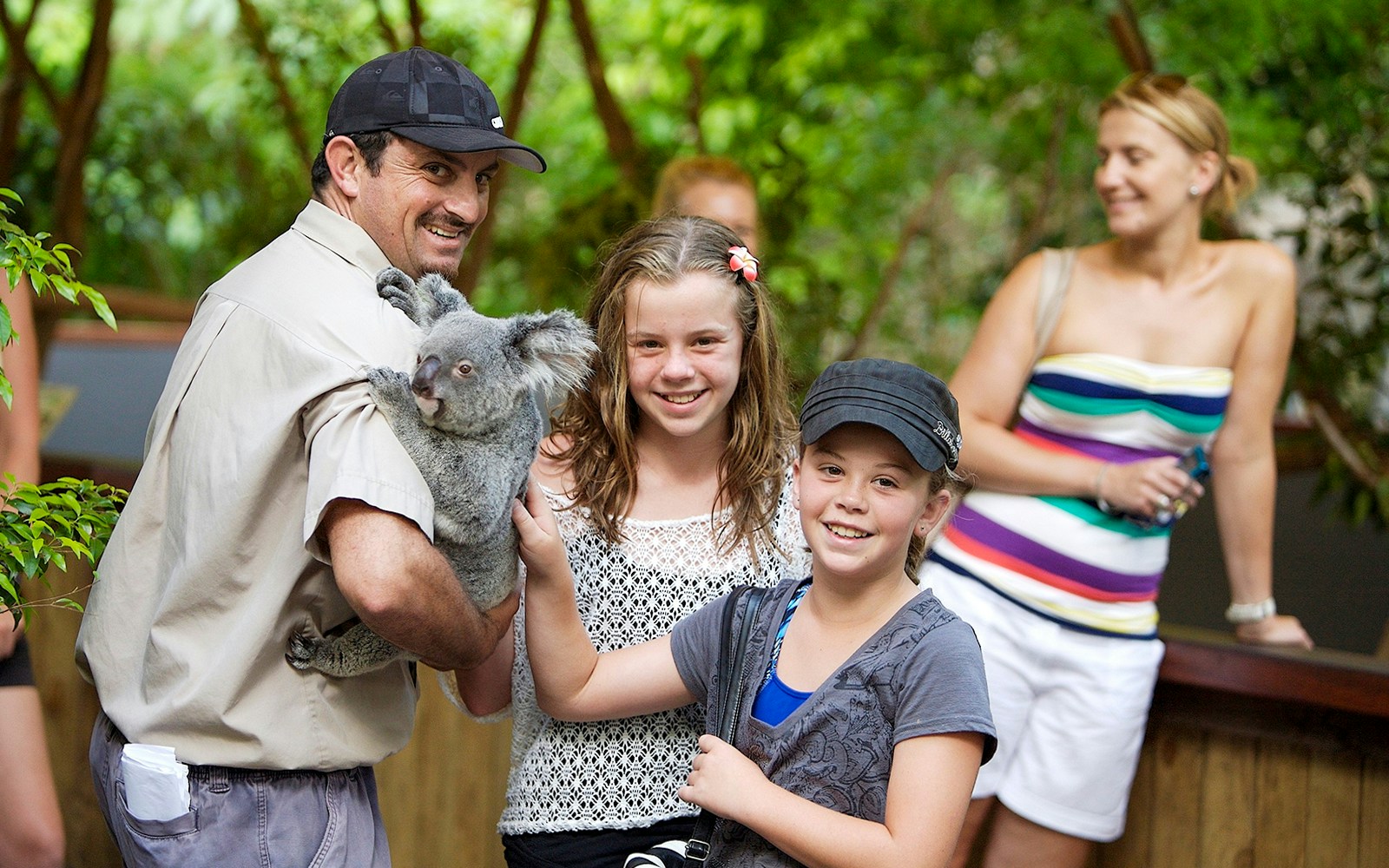 Person holding a koala with children at Kuranda wildlife park.