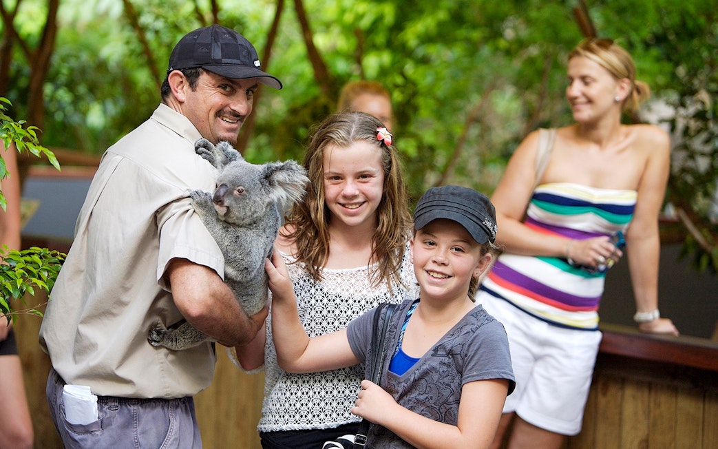 Person holding a koala with children at Kuranda wildlife park.
