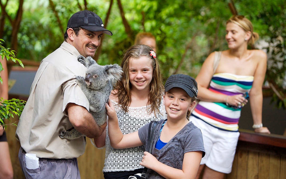 Person holding a koala with children at Kuranda wildlife park.