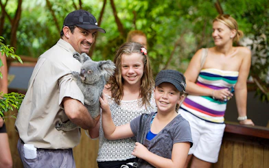 Person holding a koala with children at Kuranda wildlife park.
