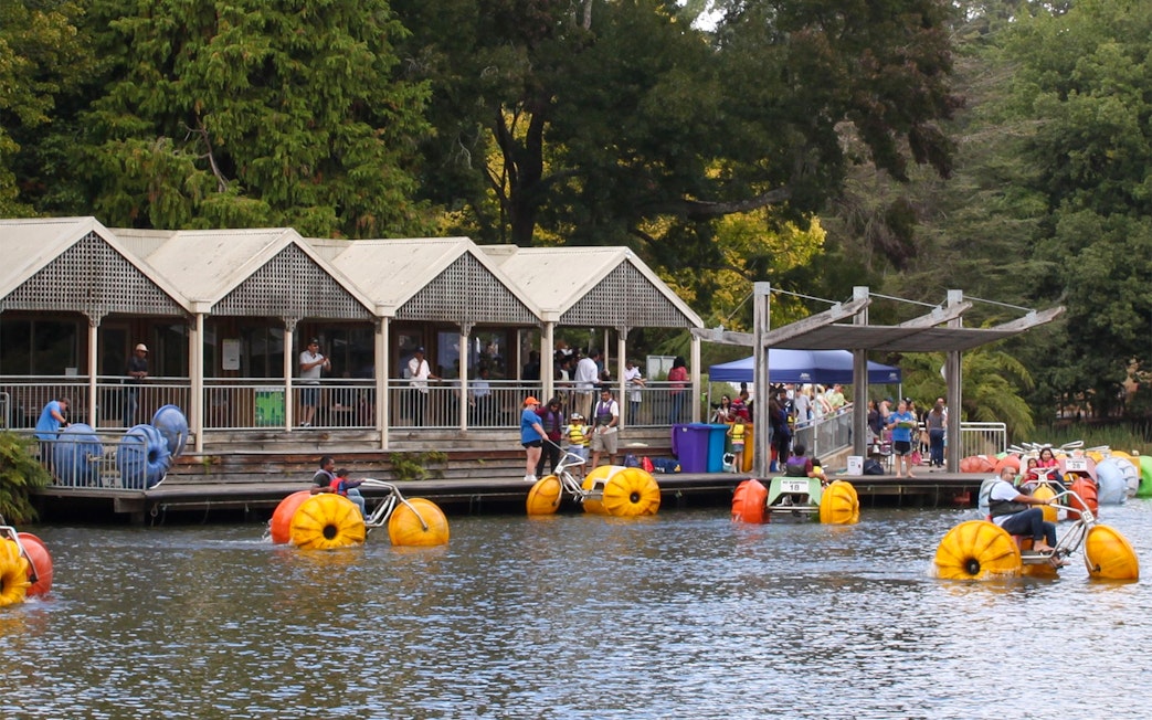 Visitors enjoying pedal boats on a lake near a pavilion during the Puffing Billy and Phillip Island tour.