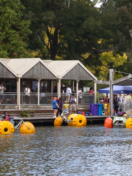 Visitors enjoying pedal boats on a lake near a pavilion during the Puffing Billy and Phillip Island tour.