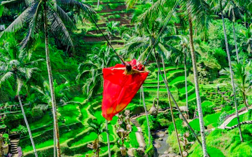 Person on swing over rice terraces in Bali.