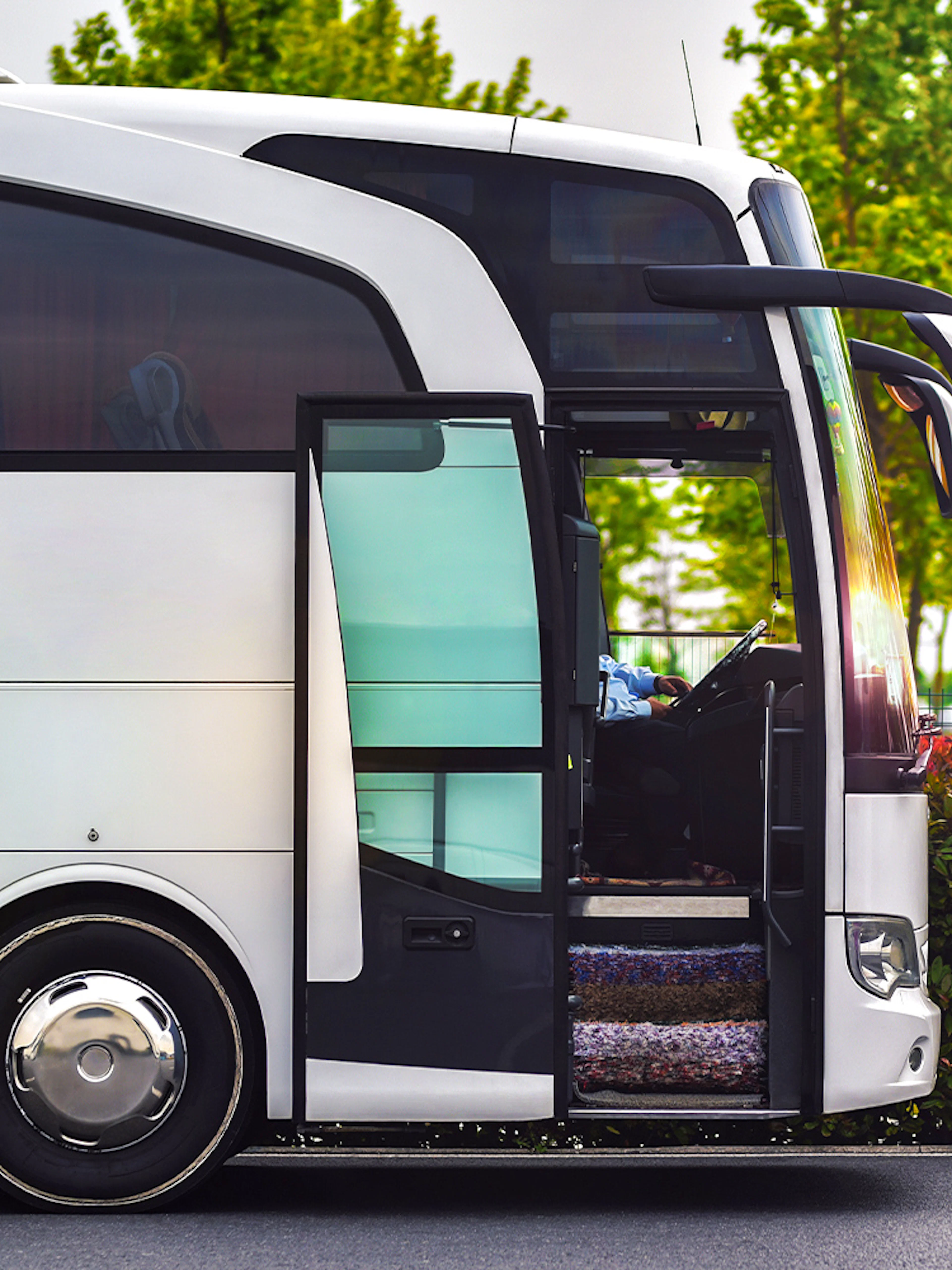 Tour bus parked with open door, surrounded by greenery.