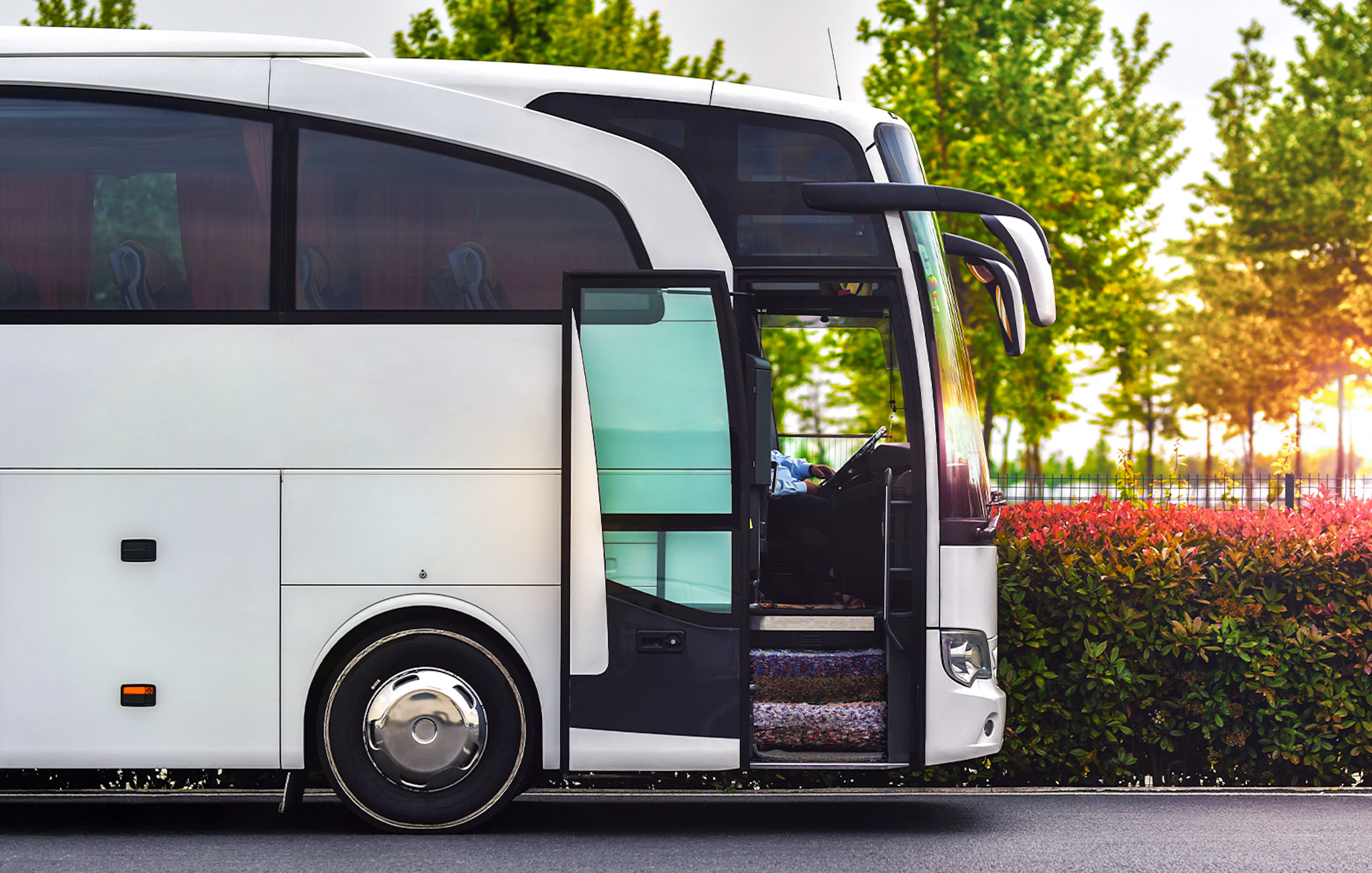 Tour bus parked with open door, surrounded by greenery.