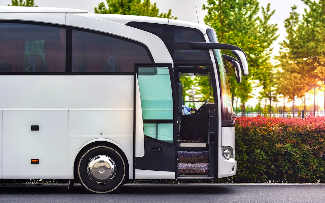 Tour bus parked with open door, surrounded by greenery.