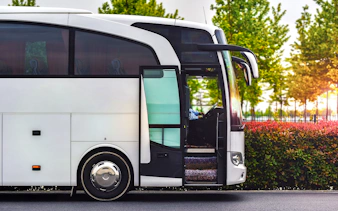 Tour bus parked with open door, surrounded by greenery.