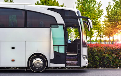 Tour bus parked with open door, surrounded by greenery.