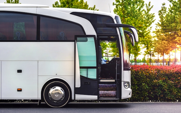 Tour bus parked with open door, surrounded by greenery.
