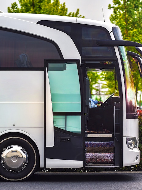 Tour bus parked with open door, surrounded by greenery.