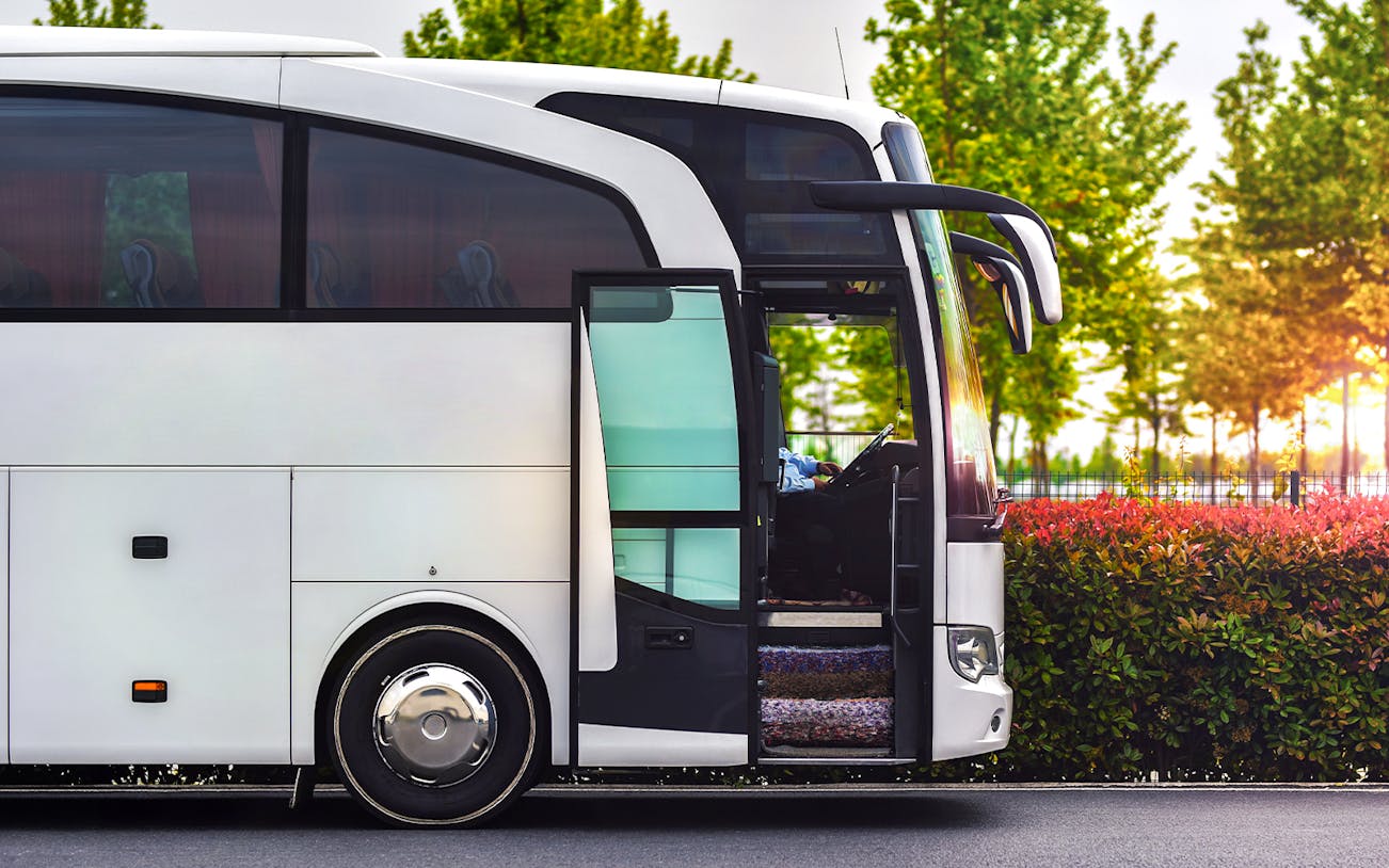 Tour bus parked with open door, surrounded by greenery.