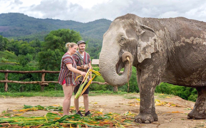Couple feeding an elephant in a lush, mountainous area.