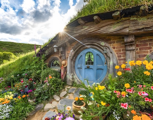 Hobbiton house with blue door and vibrant flowers, lush greenery in Rotorua.