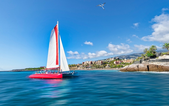 Maxicat catamaran sailing near Tenerife coast with scenic view of mountains and buildings.